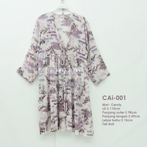 CAi-001 Outer Ceruti / Cerutty motif